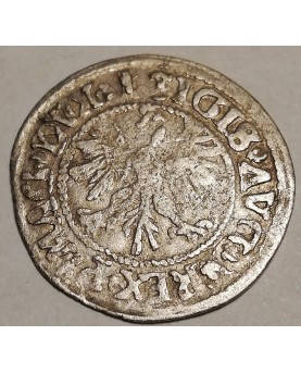LDK. Žygimantas Augustas. Pusgrašis, 1546 m.