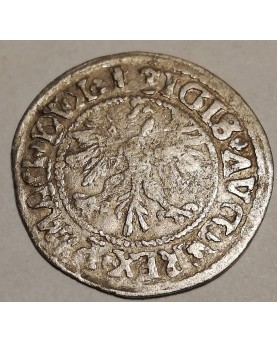 LDK. Žygimantas Augustas. Pusgrašis, 1546 m.