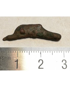 Olbija. Delfinas, 500-400 BC (iš kolekcijos)