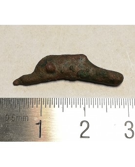 Olbija. Delfinas, 500-400 BC (iš kolekcijos)