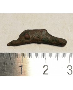 Olbija. Delfinas, 500-400 BC (iš kolekcijos)
