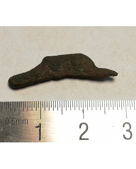 Olbija. Delfinas, 500-400 BC (iš kolekcijos)