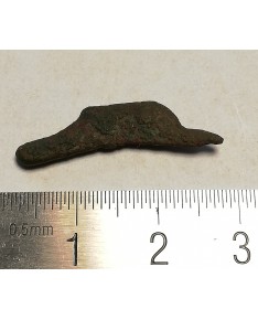Olbija. Delfinas, 500-400 BC (iš kolekcijos)
