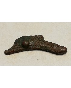 Olbija. Delfinas, 500-400 BC (iš kolekcijos)