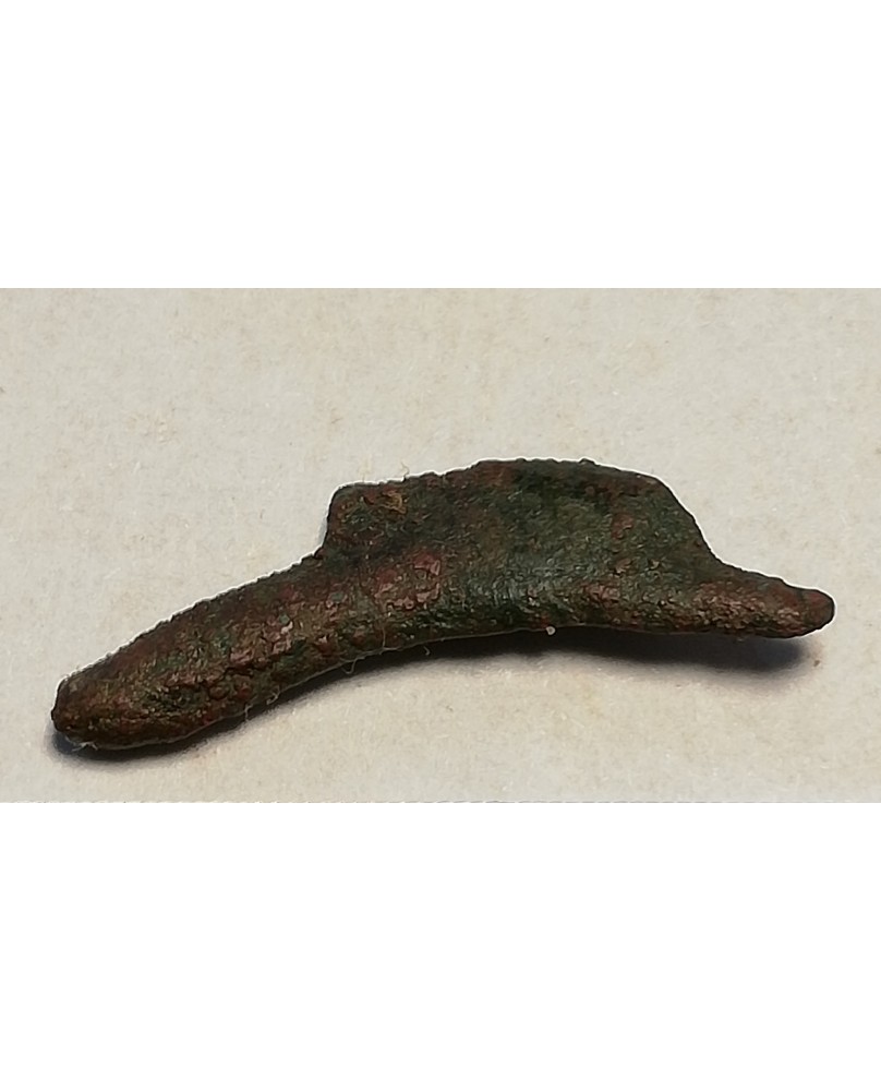 Olbija. Delfinas, 500-400 BC (iš kolekcijos) Olbija. Delfinas, 500-400 BC (iš kolekcijos)