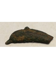 Olbija. Delfinas, 500-400 BC (iš kolekcijos)