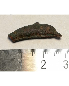 Olbija. Delfinas, 500-400 BC (iš kolekcijos)