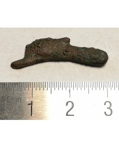 Olbija. Delfinas, 500-400 BC (iš kolekcijos)