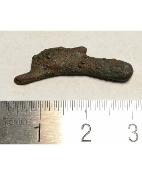 Olbija. Delfinas, 500-400 BC (iš kolekcijos)