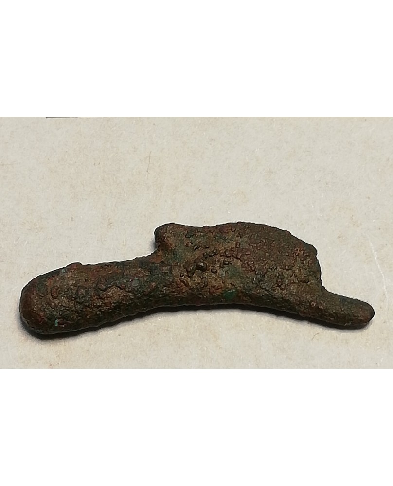 Olbija. Delfinas, 500-400 BC (iš kolekcijos) Olbija. Delfinas, 500-400 BC (iš kolekcijos)
