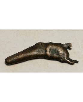 Olbija. Delfinas, 500-400 BC (iš kolekcijos)