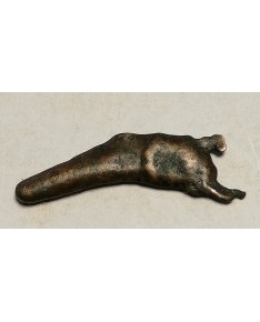 Olbija. Delfinas, 500-400 BC (iš kolekcijos)
