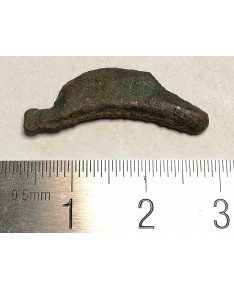 Olbija. Delfinas, 500-400 BC (iš kolekcijos)