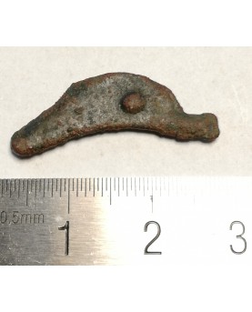 Olbija. Delfinas, 500-400 BC (iš kolekcijos)