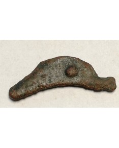 Olbija. Delfinas, 500-400 BC (iš kolekcijos)