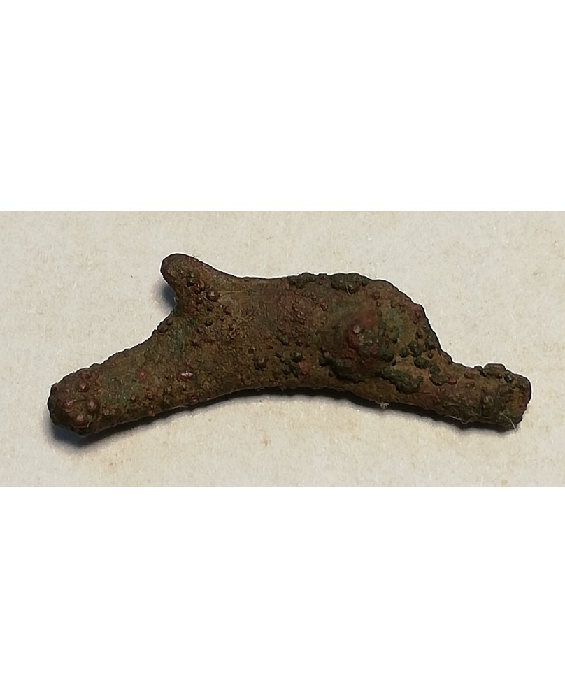 Olbija. Delfinas, 500-400 BC (iš kolekcijos) Olbija. Delfinas, 500-400 BC (iš kolekcijos)