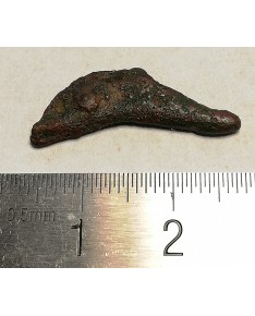Olbija. Delfinas, 500-400 BC (iš kolekcijos)