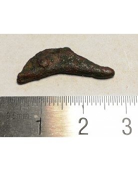 Olbija. Delfinas, 500-400 BC (iš kolekcijos)