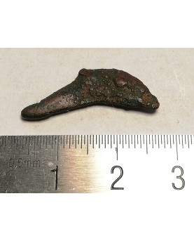 Olbija. Delfinas, 500-400 BC (iš kolekcijos)