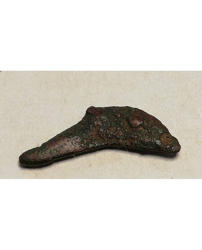 Olbija. Delfinas, 500-400 BC (iš kolekcijos) Olbija. Delfinas, 500-400 BC (iš kolekcijos)