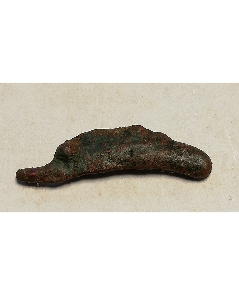 Olbija. Delfinas, 500-400 BC (iš kolekcijos) Olbija. Delfinas, 500-400 BC (iš kolekcijos)