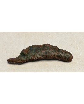 Olbija. Delfinas, 500-400 BC (iš kolekcijos)