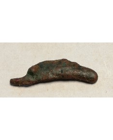 Olbija. Delfinas, 500-400 BC (iš kolekcijos)