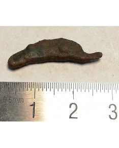 Olbija. Delfinas, 500-400 BC (iš kolekcijos)