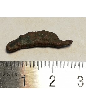 Olbija. Delfinas, 500-400 BC (iš kolekcijos)