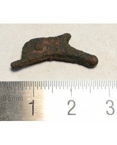 Olbija. Delfinas, 500-400 BC (iš kolekcijos)