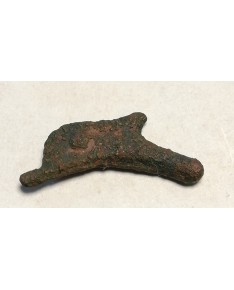 Olbija. Delfinas, 500-400 BC (iš kolekcijos)