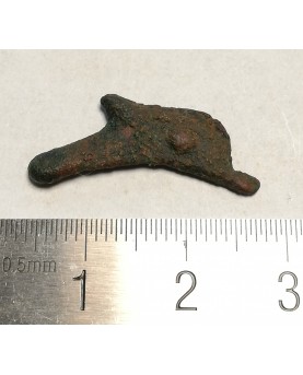 Olbija. Delfinas, 500-400 BC (iš kolekcijos)
