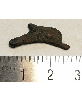 Olbija. Delfinas, 500-400 BC (iš kolekcijos)