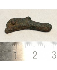 Olbija. Delfinas, 500-400 BC (iš kolekcijos)