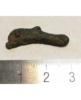 Olbija. Delfinas, 500-400 BC (iš kolekcijos)