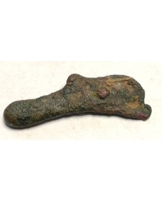Olbija. Delfinas, 500-400 BC (iš kolekcijos)
