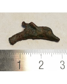 Olbija. Delfinas, 500-400 BC (iš kolekcijos)