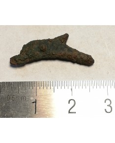 Olbija. Delfinas, 500-400 BC (iš kolekcijos)