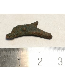 Olbija. Delfinas, 500-400 BC (iš kolekcijos)