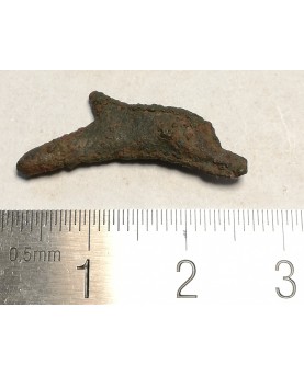 Olbija. Delfinas, 500-400 BC (iš kolekcijos)