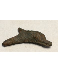 Olbija. Delfinas, 500-400 BC (iš kolekcijos)