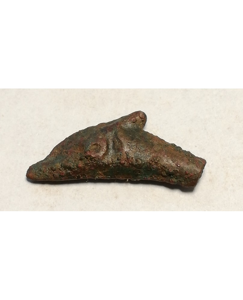 Olbija. Delfinas, 500-400 BC (iš kolekcijos) Olbija. Delfinas, 500-400 BC (iš kolekcijos)