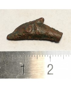 Olbija. Delfinas, 500-400 BC (iš kolekcijos)