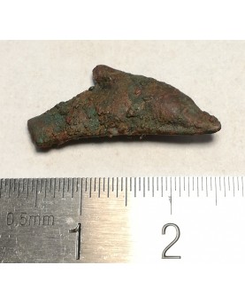 Olbija. Delfinas, 500-400 BC (iš kolekcijos)