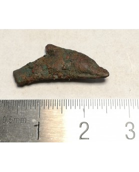 Olbija. Delfinas, 500-400 BC (iš kolekcijos)