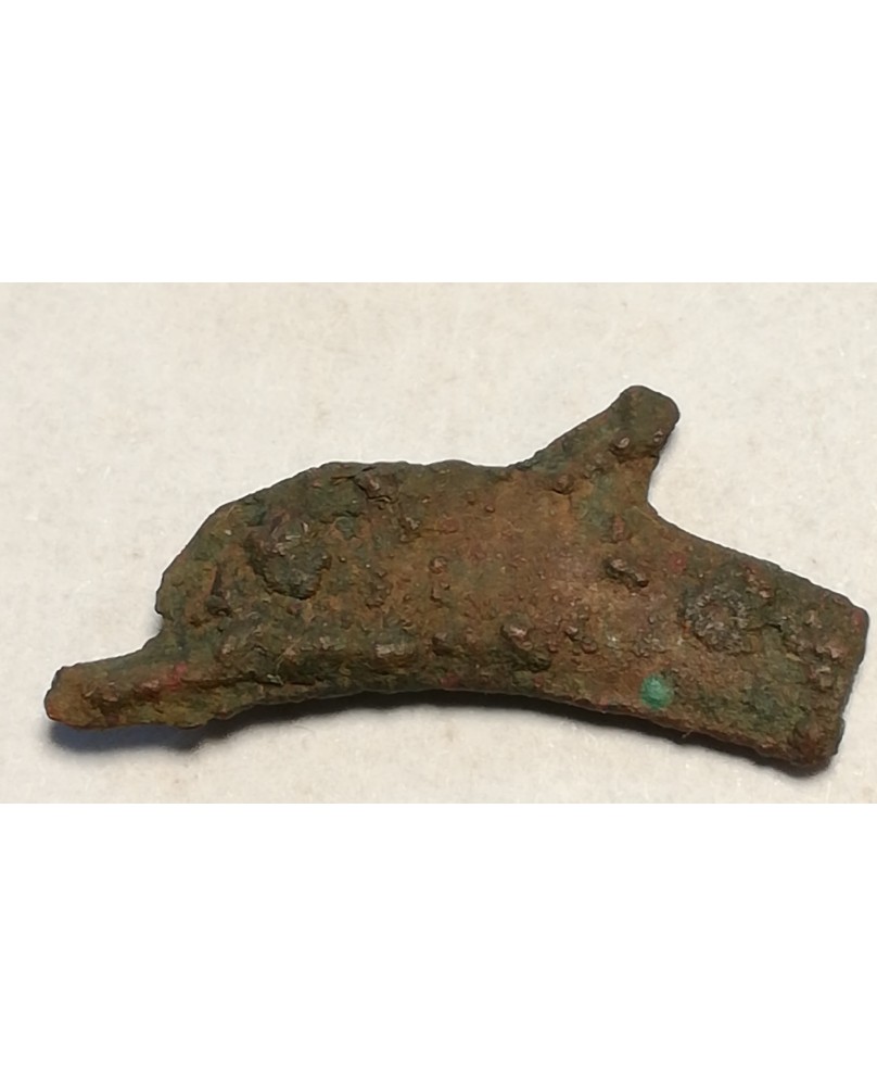 Olbija. Delfinas, 500-400 BC (iš kolekcijos) Olbija. Delfinas, 500-400 BC (iš kolekcijos)