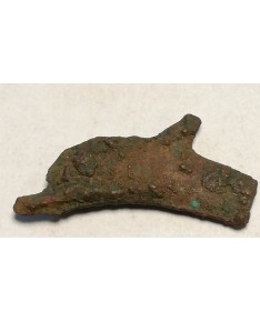 Olbija. Delfinas, 500-400 BC (iš kolekcijos)