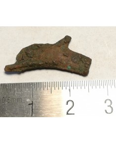 Olbija. Delfinas, 500-400 BC (iš kolekcijos)