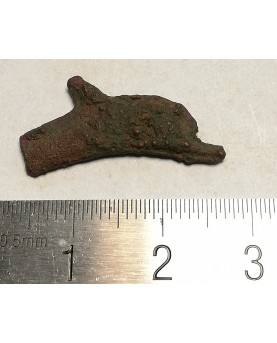 Olbija. Delfinas, 500-400 BC (iš kolekcijos)