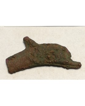 Olbija. Delfinas, 500-400 BC (iš kolekcijos)